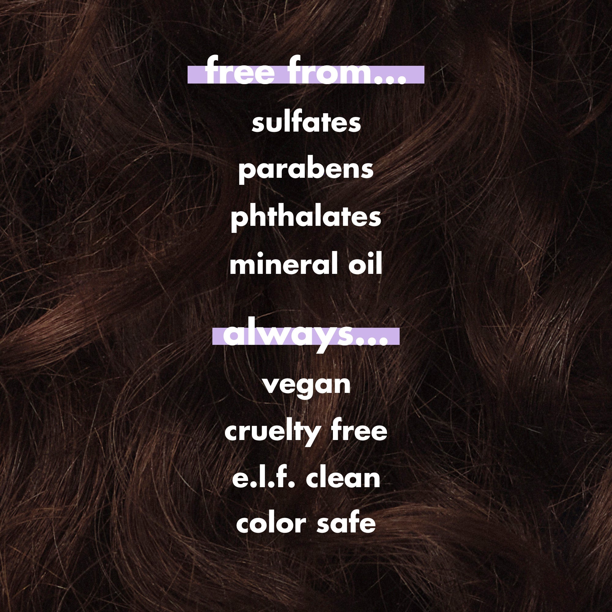 Frizz To Rizz Trio